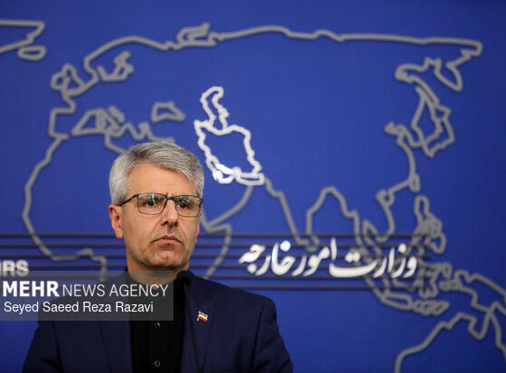 بقائی: ملت ایران قدردان ایستادگی و فداکاری مدافعان وطن است