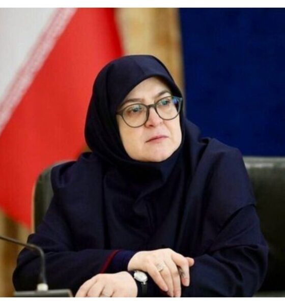 توضیحات سخنگوی دولت درباره مذاکره با آمریکا / مهاجرانی به مخالفان پاسخ داد