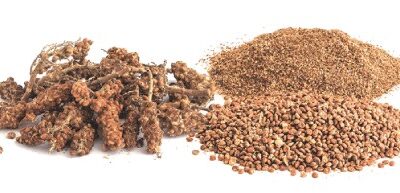 خواص سماق قهوه ای ادویه ای بی نظیر
