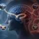 دانشمندان با MRI دریافتند: اضطراب GPS درونی مغز را مختل می‌کند