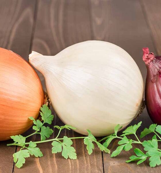 عاشق پیاز هستید؟ مصرف‌کنندگان پیاز کمتر به دیابت و فشار خون مبتلا می‌شوند