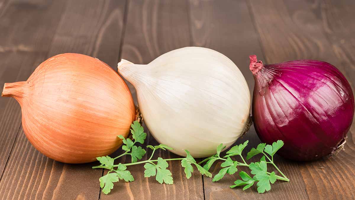 عاشق پیاز هستید؟ مصرف‌کنندگان پیاز کمتر به دیابت و فشار خون مبتلا می‌شوند