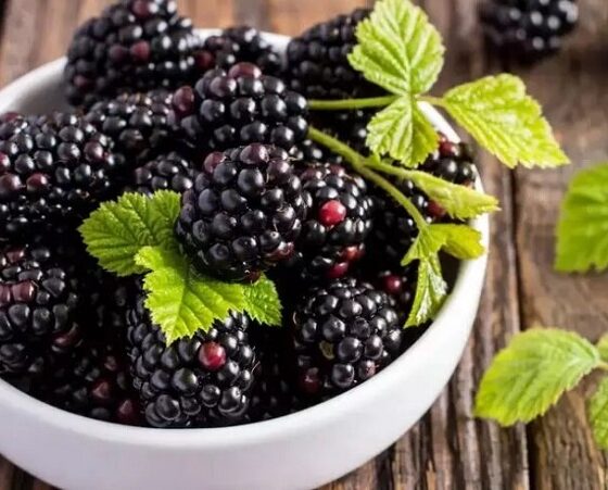فواید شگفت انگیز این 8 خوراکی سیاه تابستانی که از آن بی خبرید