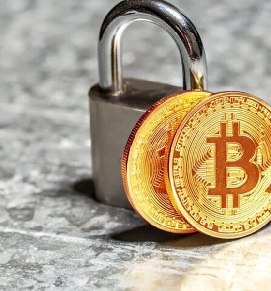 محدودیت‌های جدید برای بزرگ‌ترین بازار پذیرش رمزارز جهان / آخرین وضعیت بازار رمزارزها در جهان اعلام شد