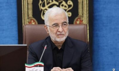 مسافران اربعین بخوانند/ توصیه‌های وزیر کشور به زائران