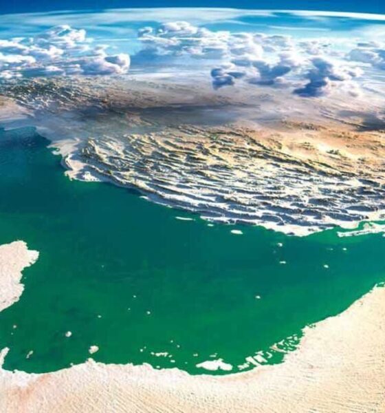 هشدار جدی درباره خلیج فارس/ آلودگی‌ها تا ۵ سال ماندگار می‌مانند