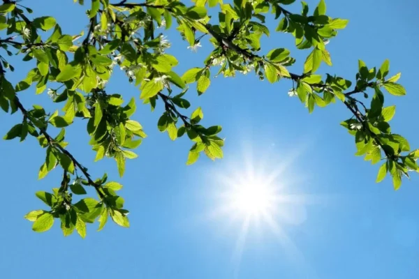 هشدار هواشناسی به ساکنان این استان ها/ گرمای بیسابقه در راه است هشدار هواشناسی به ساکنان این استان ها/ گرمای بیسابقه در راه است