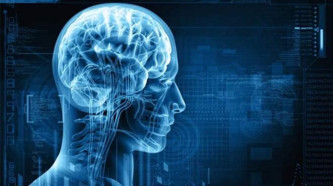 یادگیری زبانها میتواند مغز را جوانتر کند یادگیری زبانها میتواند مغز را جوانتر کند