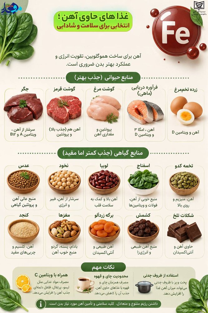 لیست خوراکی‌های آهن‌دار؛ چه غذاهایی آهن بیشتری دارند؟+ اینفوگرافیک