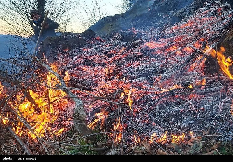 میانکاله را چه کسی میسوزاند؟/ واکاوی 12 آتشسوزی مشکوک در 16 روز! اخبار استان مازندران , اخبار ساری , نظام مسائل استان , نظام مسائل استان مازندران , آتش سوزی جنگل ها و مراتع , جنگل های هیرکانی ,