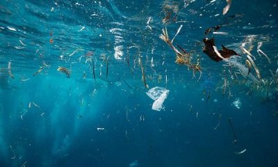 چگونه پلاستیک باعث تغییرات اقلیمی می شود؟/ اینفوگرافیک